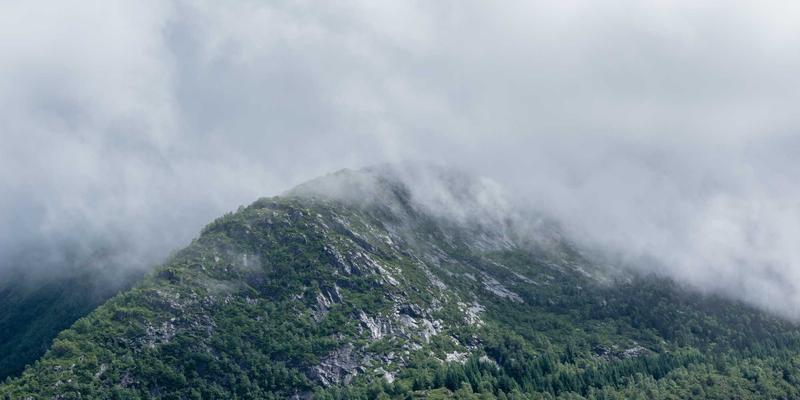 如何为瑜伽与疗愈之旅选择完美的乌布豪华别墅 | 巴厘岛住宿指南