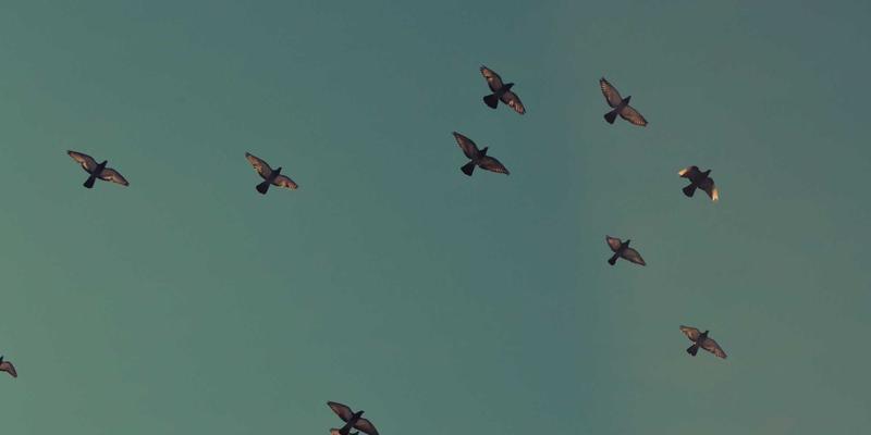 巴厘岛别墅SPA疗程：用巴厘岛古法按摩缓解时差反应