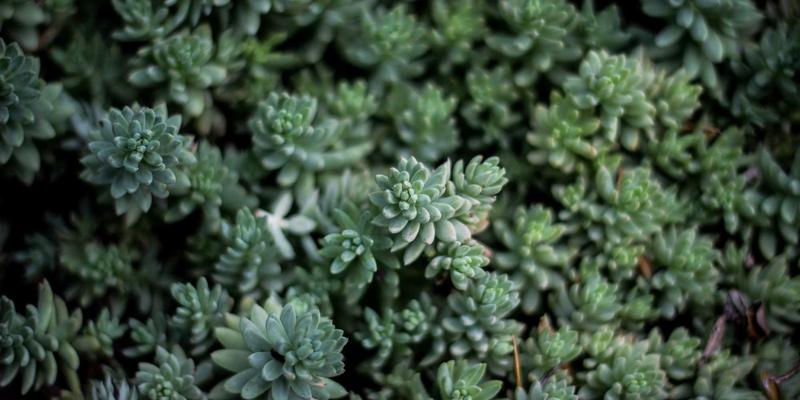 巴厘岛别墅住宿全攻略：解锁完美假期，从预订理想Villa开始