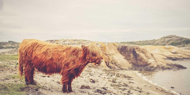 巴厘岛别墅全攻略：解锁完美假期，从预订到体验的终极指南
