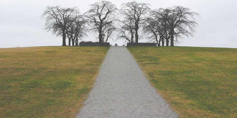 巴厘岛别墅:超越住宿的禅意天堂,解锁极致度假体验