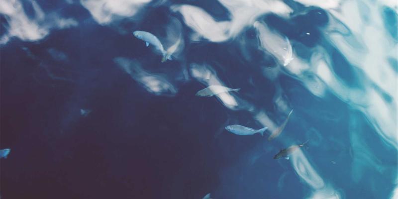 巴厘岛别墅预订深度解析:从奢华庄园到禅意静居的成功案例