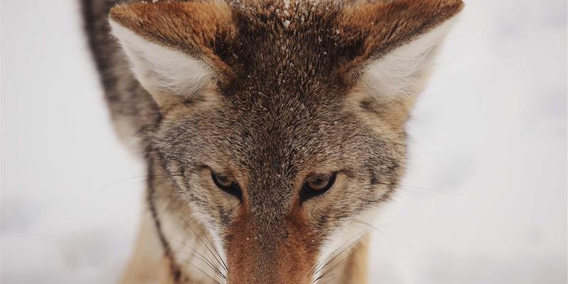 巴厘岛别墅预订终极指南：从禅意别墅到奢华居所的必备设施清单与专业贴士