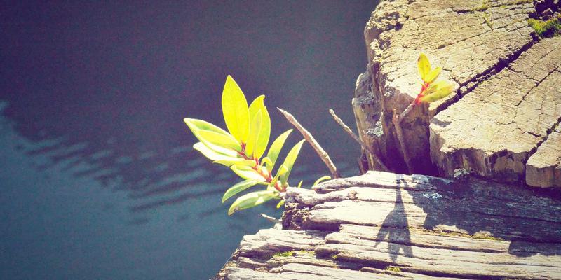 巴厘岛历史遗产别墅：在修复的殖民建筑中预订奢华别墅，体验禅意之旅