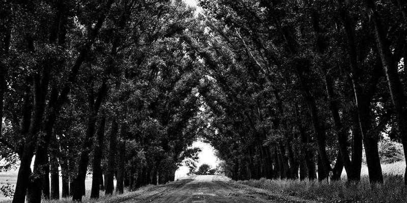 巴厘岛奢华别墅：从隐秘居所到旅行新范式的发展与预订指南