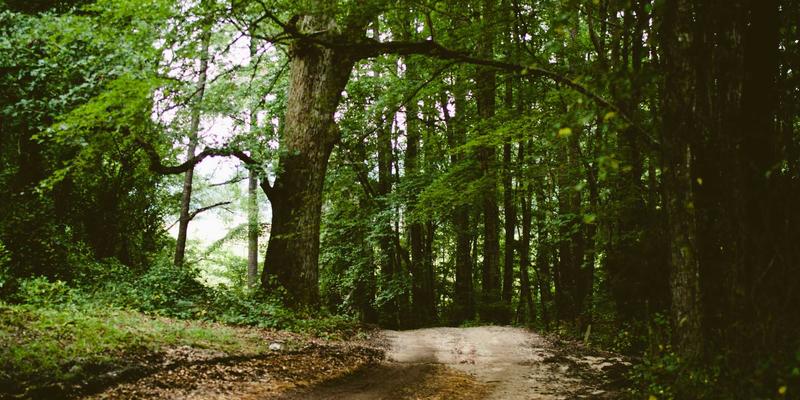 巴厘岛悬崖别墅预订指南：乌鲁瓦图地区坐拥印度洋全景的奢华Zen Villas推荐