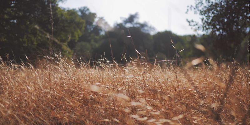 巴厘岛悬崖海景别墅：乌鲁瓦图地区坐拥印度洋全景的奢华住宿推荐