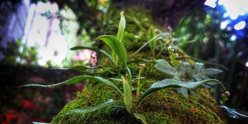 巴厘岛长租别墅月租金全解析：从预算规划到禅意别墅预订指南