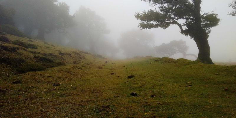 德格拉朗梯田别墅：插秧体验与稻作文化讲解