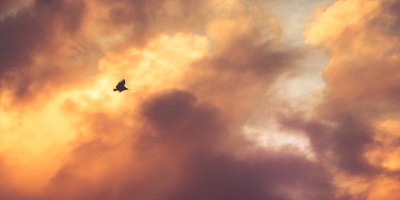 金巴兰别墅落日烧烤：海鲜市场直采与沙爹酱配方