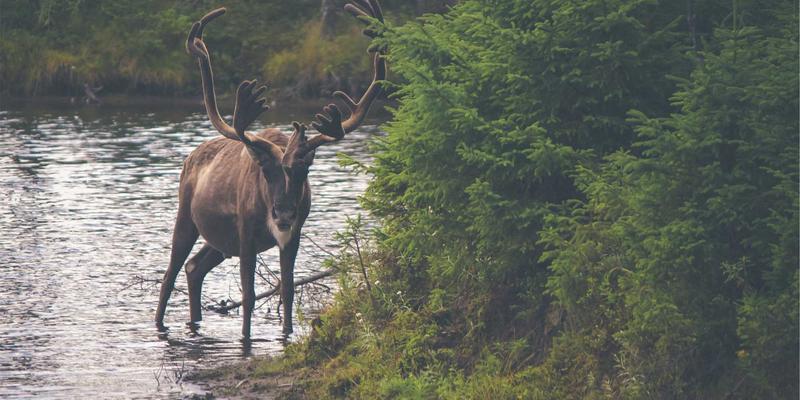 预订巴厘岛别墅新体验：禅意别墅与艺术收藏家之家的独特融合